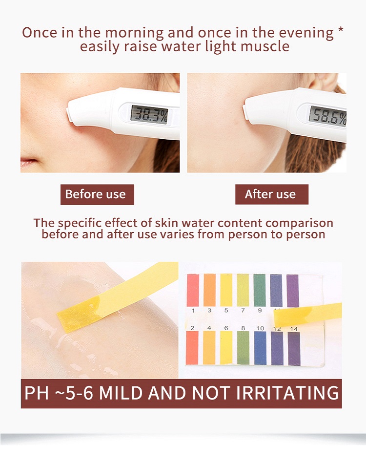 Essence Application Display 2