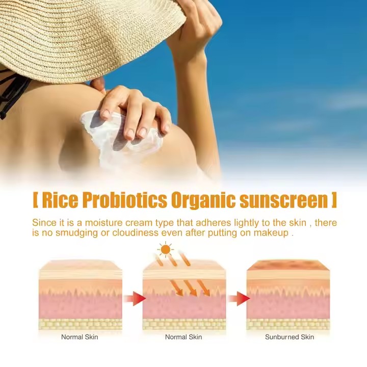 Private Label Sunscreen Lotion Cream Sunblock Oem, Bulk