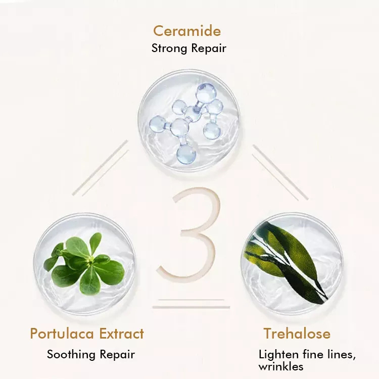Licorice Root Serum Properties