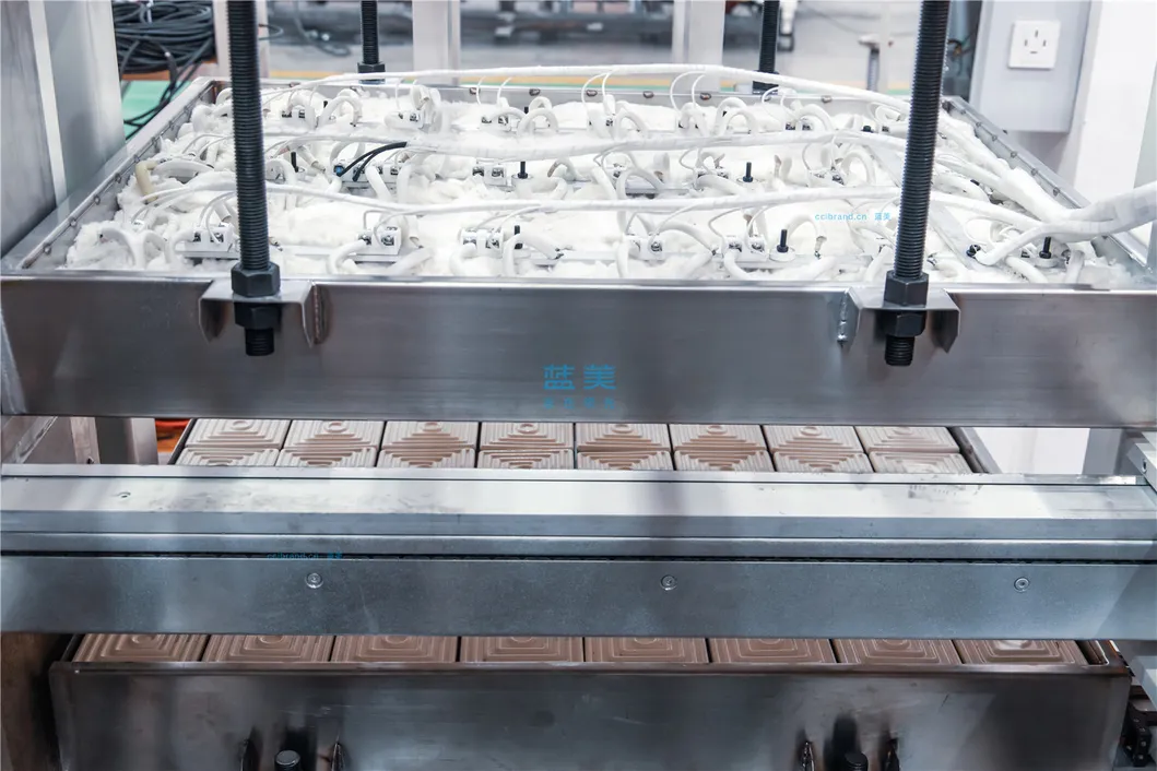 Thermoforming Machine Detail 4