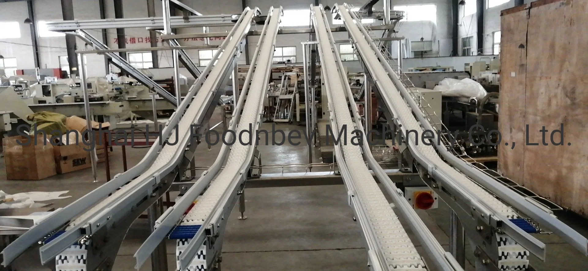 Vision FDA Ce Certificate Luxme Tubular Sideflexing Single Hinge Plastic Tabletop Conveyor Chain Conveyor System Producer
