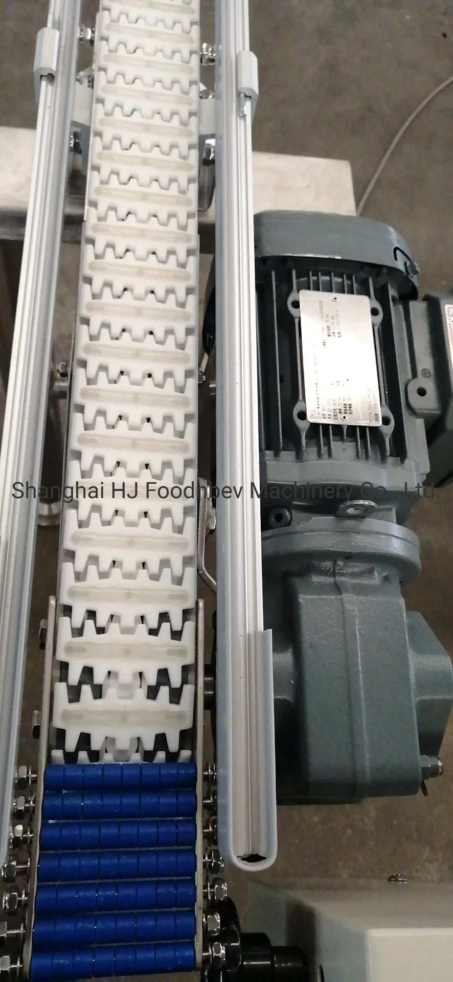 Vision FDA Ce Certificate Luxme Tubular Sideflexing Single Hinge Plastic Tabletop Conveyor Chain Conveyor System Producer