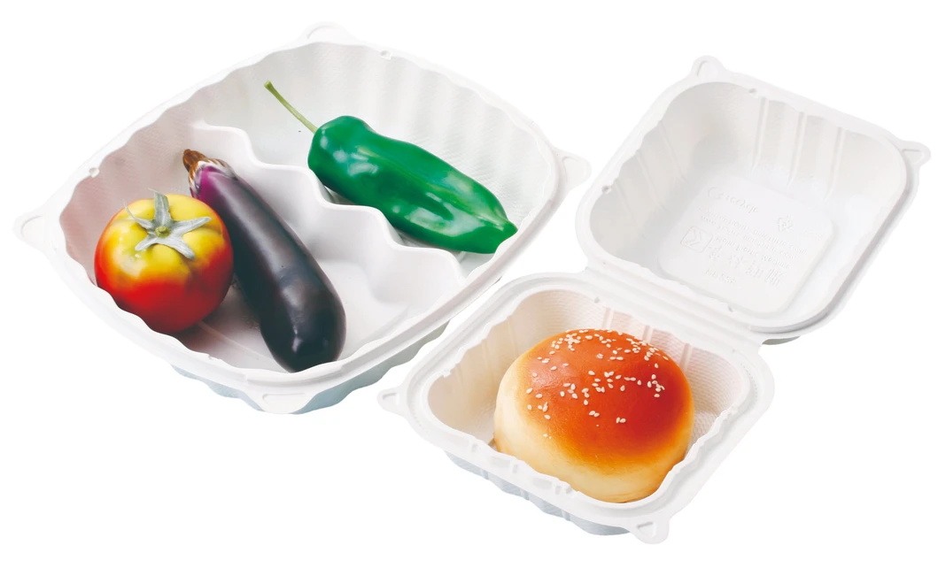 Quality Plastic Rigid Thermoforming Machine for Efficient Production