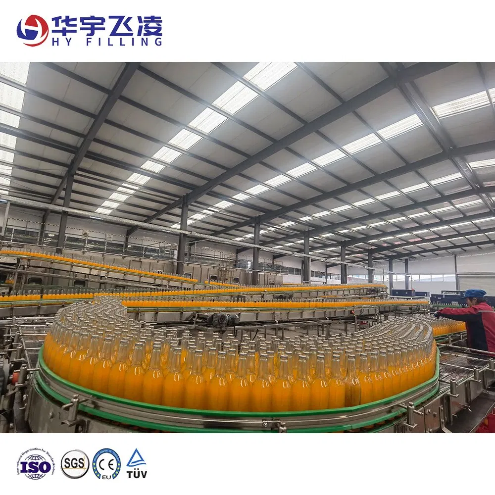Carbonated Juice Dairy Drinks Hy-Filling Wooden Glass Bottle Pet Plastic Aluminum Cans Rubber Belt Carton Conveyor System