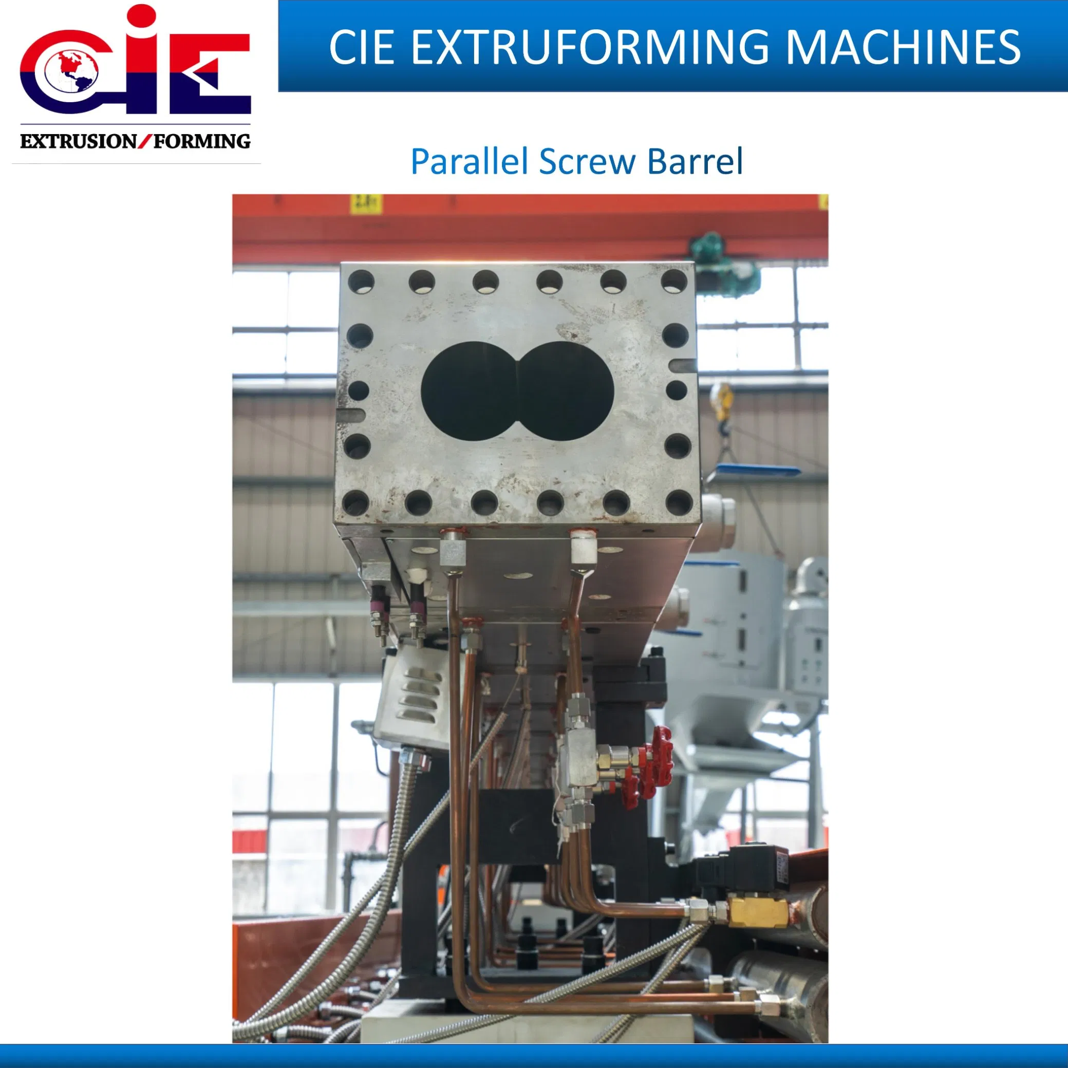 Plastic Sheet Extrusion Machine for Production Roll Sheet for Clear Biodegradable CPET Packaging Box PP Food Container Plastic Machinery