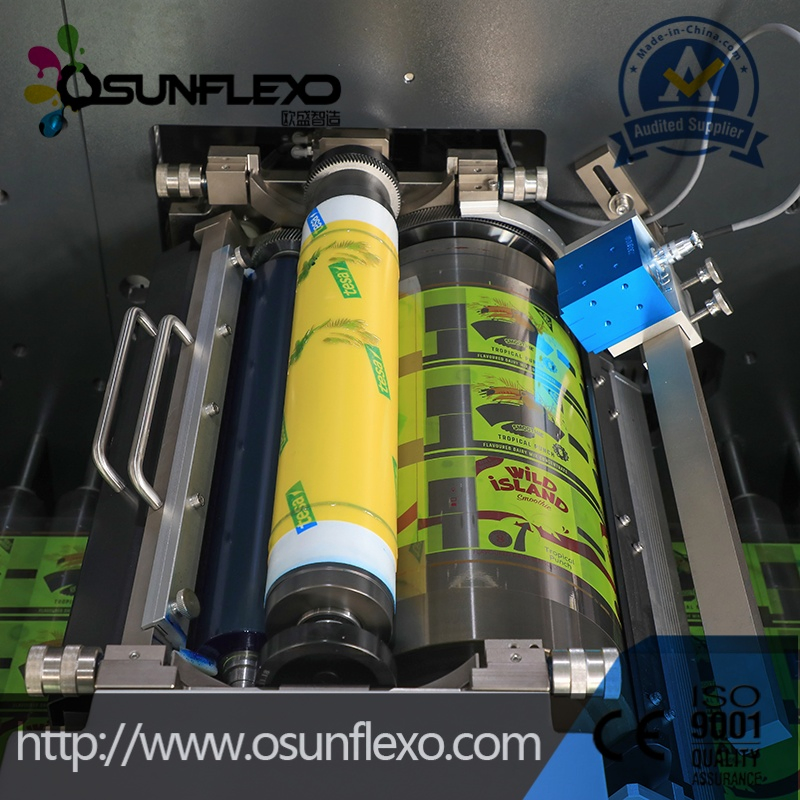 1-15 Colors Double Servo Mortor Flexo Printing Machine for Plastic Film/ Paper/ Label