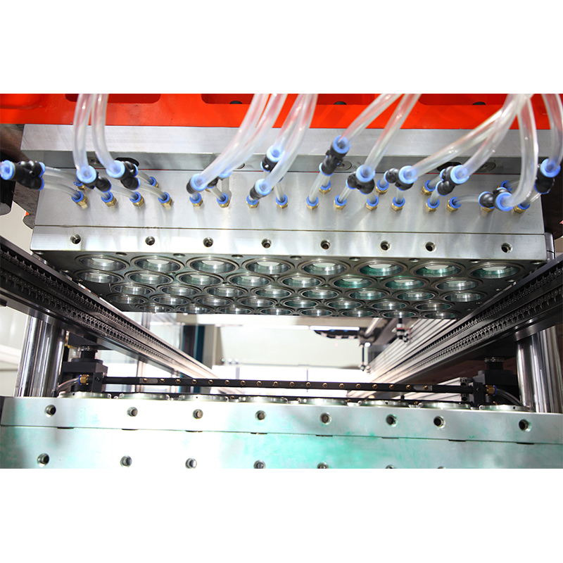 Eco-Friendly Disposable Thermoforming Machine Sy-680b for Biodegradable Pet PP Plastic Water Cups Coffee Cups and Bowls