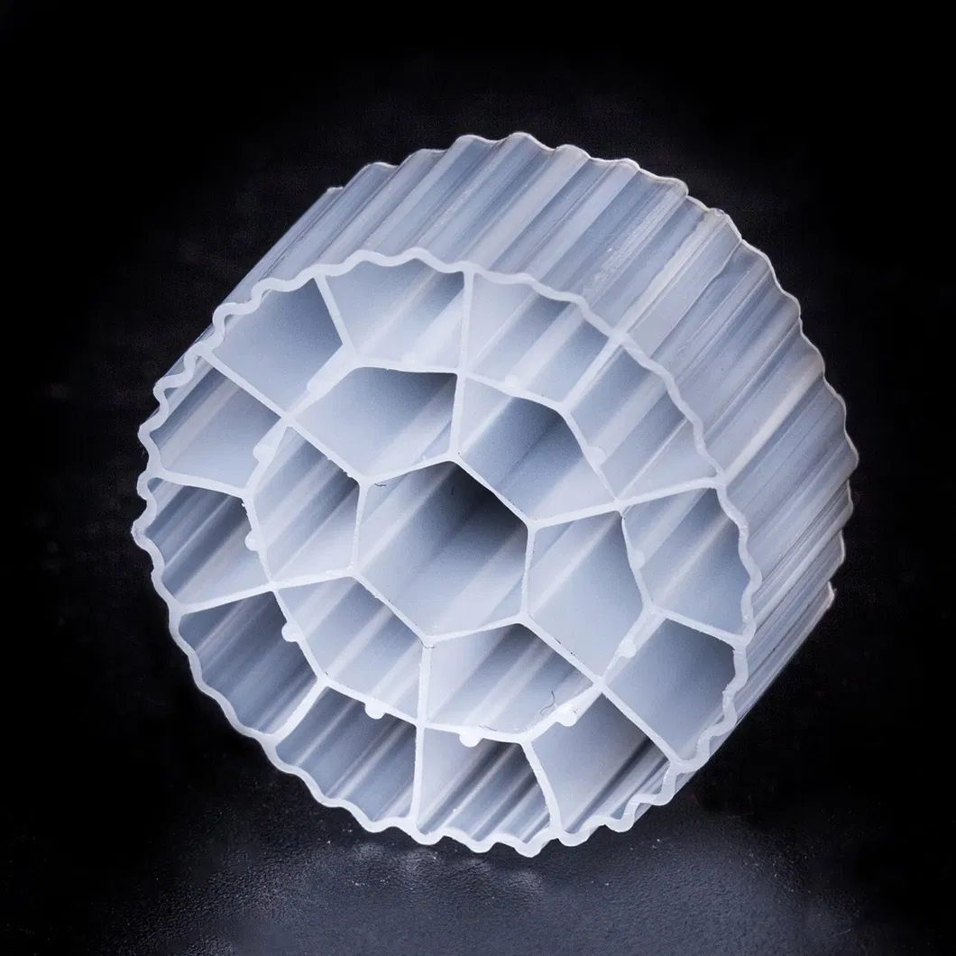 Plastic Extruder Photo 6