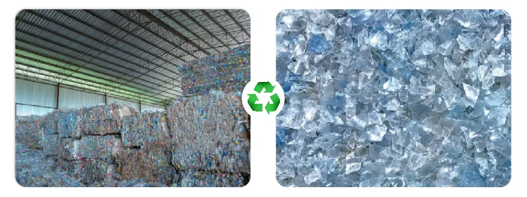 Processed PET Flakes