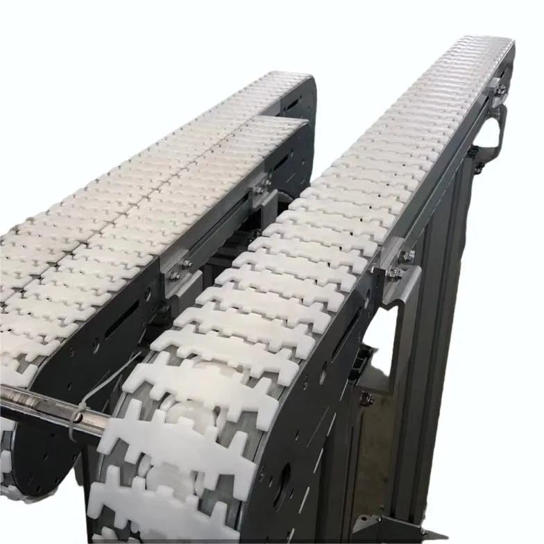 Conveyor System Detail 2