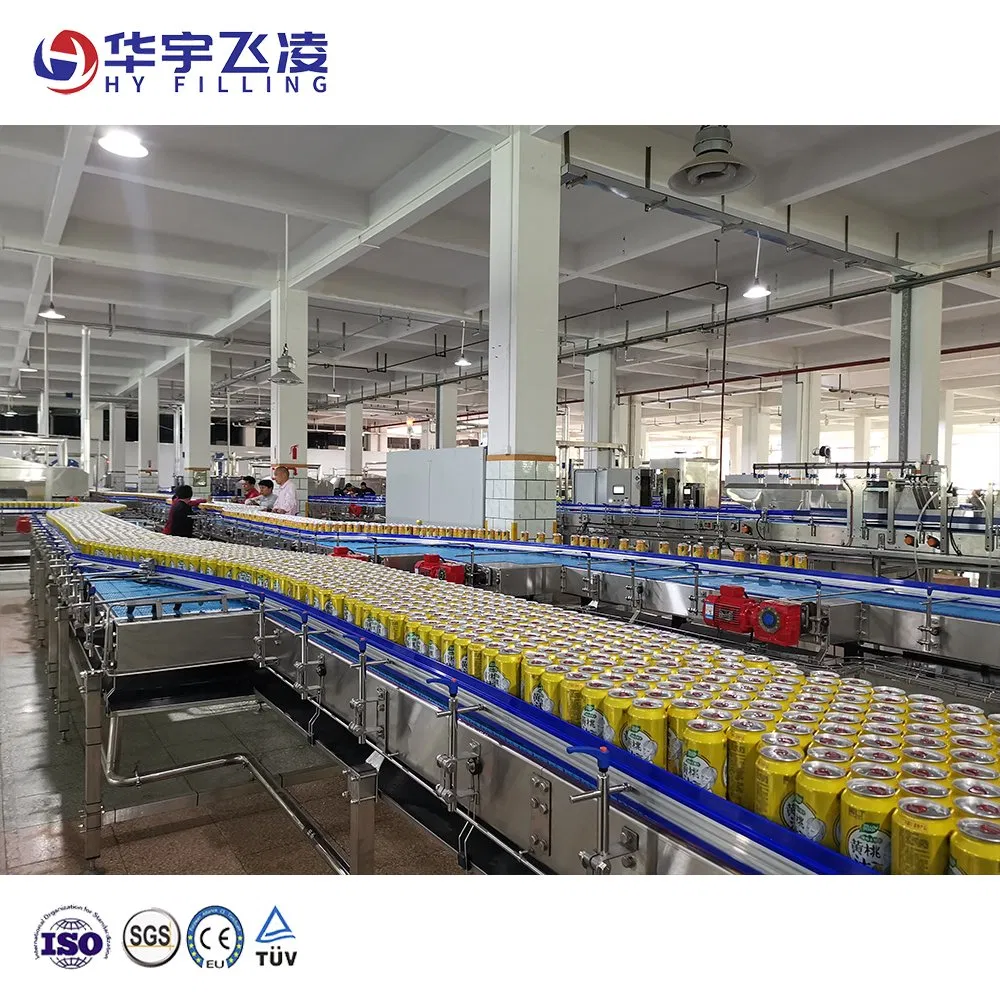 Wooden Carton Stainless Steel Hy-Filling Customized China Glass Pet Plastic Filled Bottle Aluminum Can Belt Conveyor System