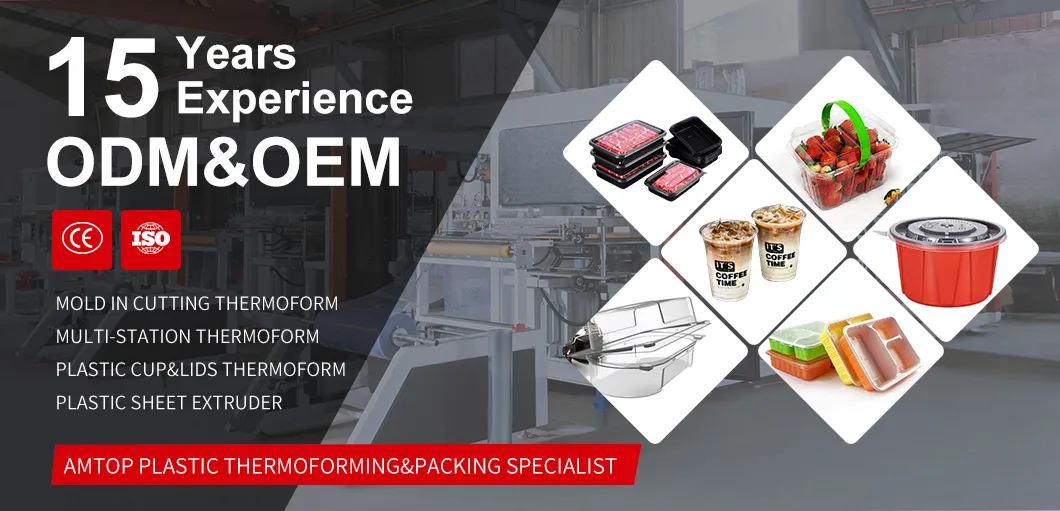 Thermoforming Machine Overview