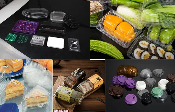 Thermoforming Sample 2