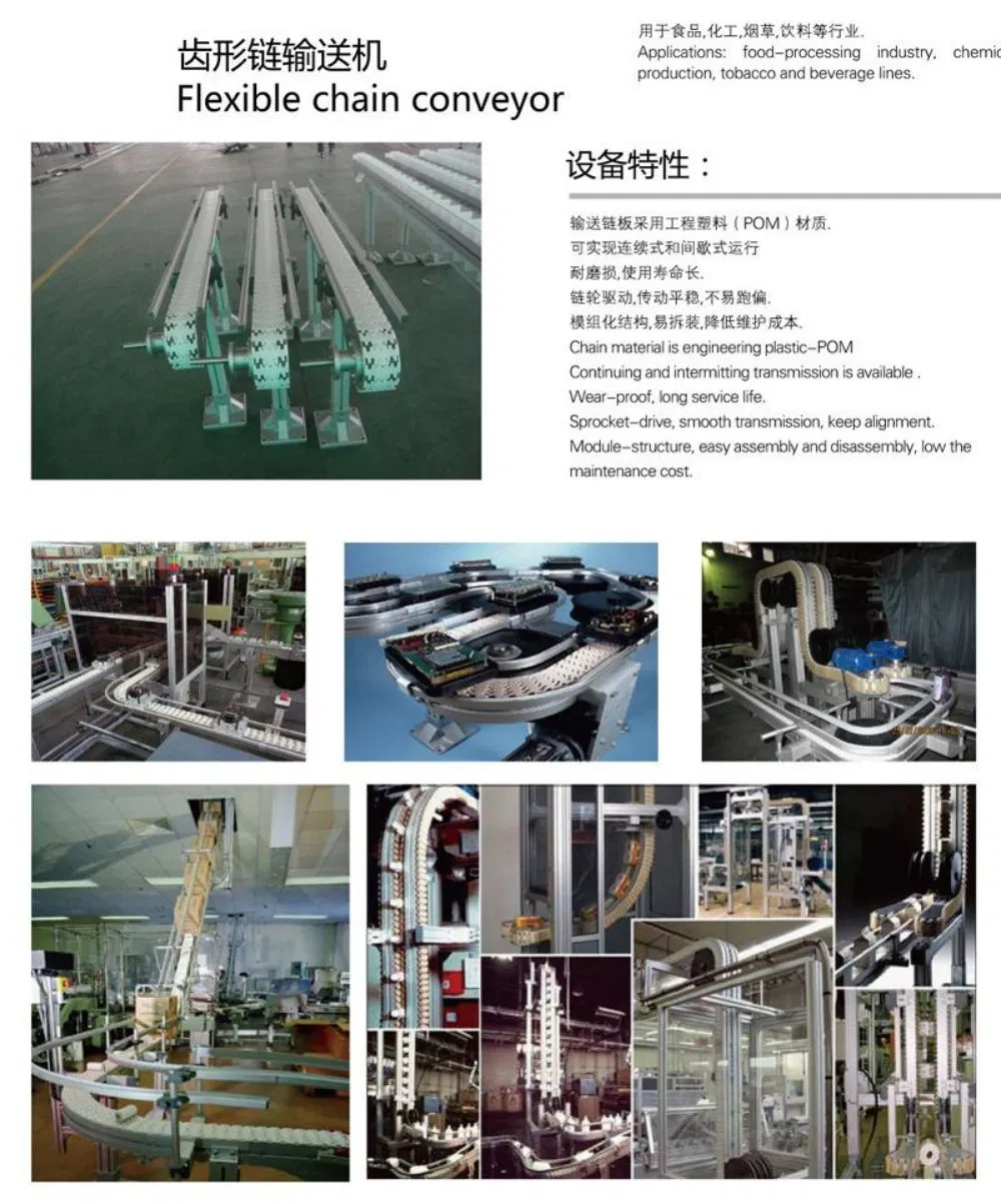 Plastic Chains Conveyor