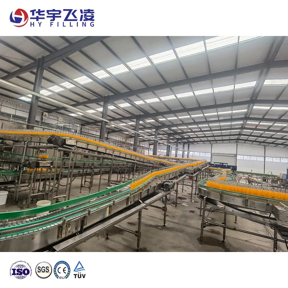 Carbonated Juice Dairy Drinks Hy-Filling Wooden Glass Bottle Pet Plastic Aluminum Cans Rubber Belt Carton Conveyor System