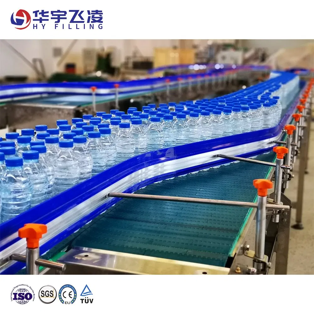 Wooden Carton Stainless Steel Hy-Filling Customized China Glass Pet Plastic Filled Bottle Aluminum Can Belt Conveyor System