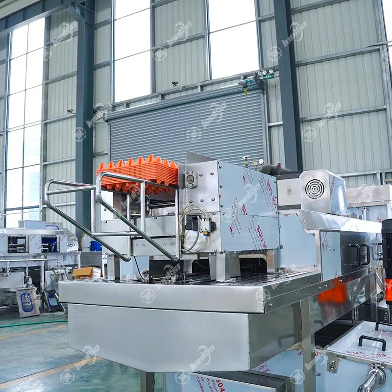 Egg Trays Before Cleaning