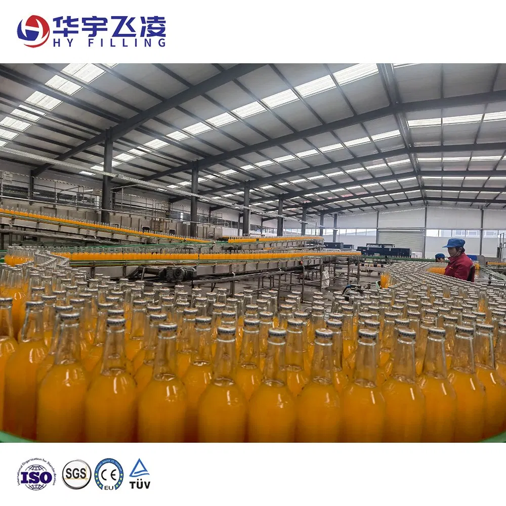 Wooden Carton Stainless Steel Hy-Filling Customized China Glass Pet Plastic Filled Bottle Aluminum Can Belt Conveyor System