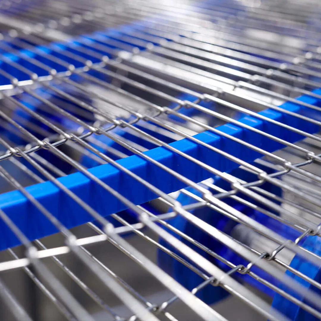 Plastic Chains Conveyor Customized Conveyor Systems