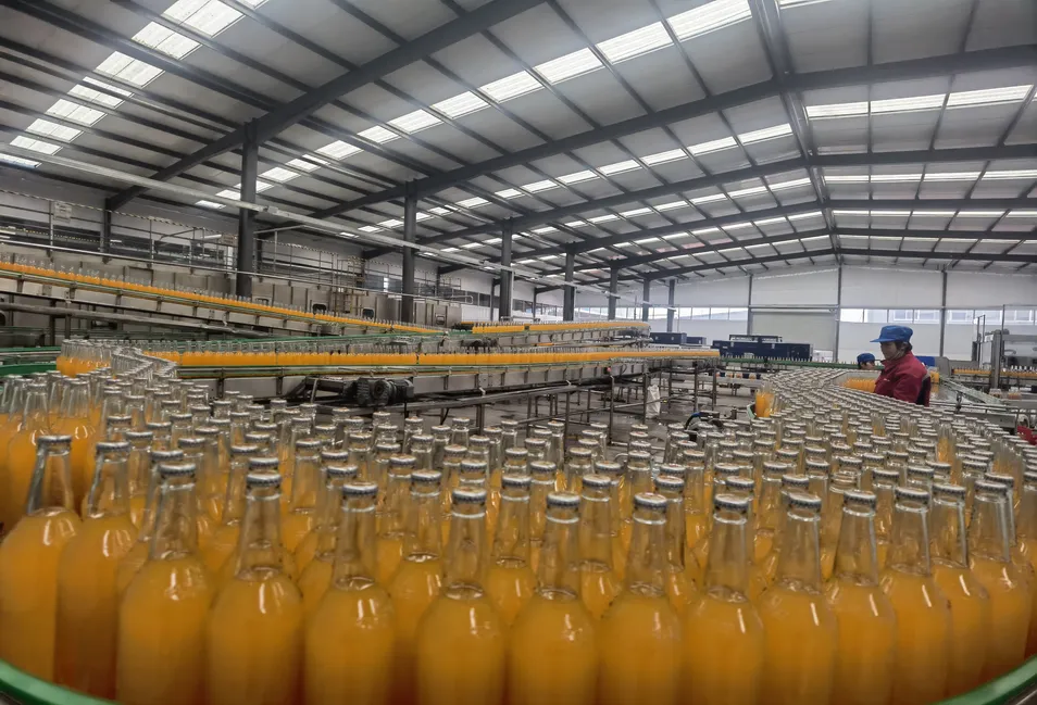 Filled Bottle Conveyor