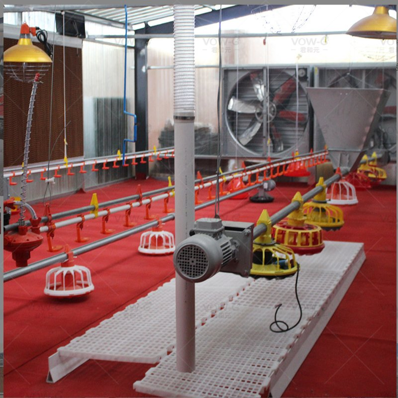 Steel Structure Poultry Chicken House Automatic Broiler Floor System Pan Feeding System Equipment