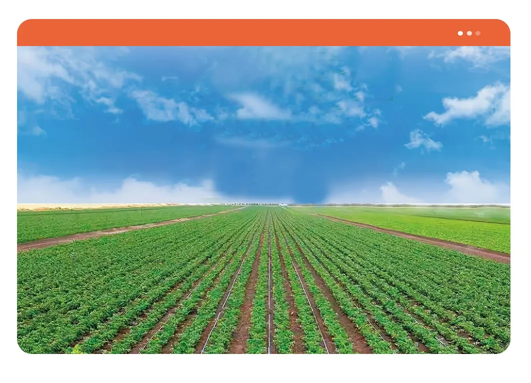 Drip Pipe Product Sample