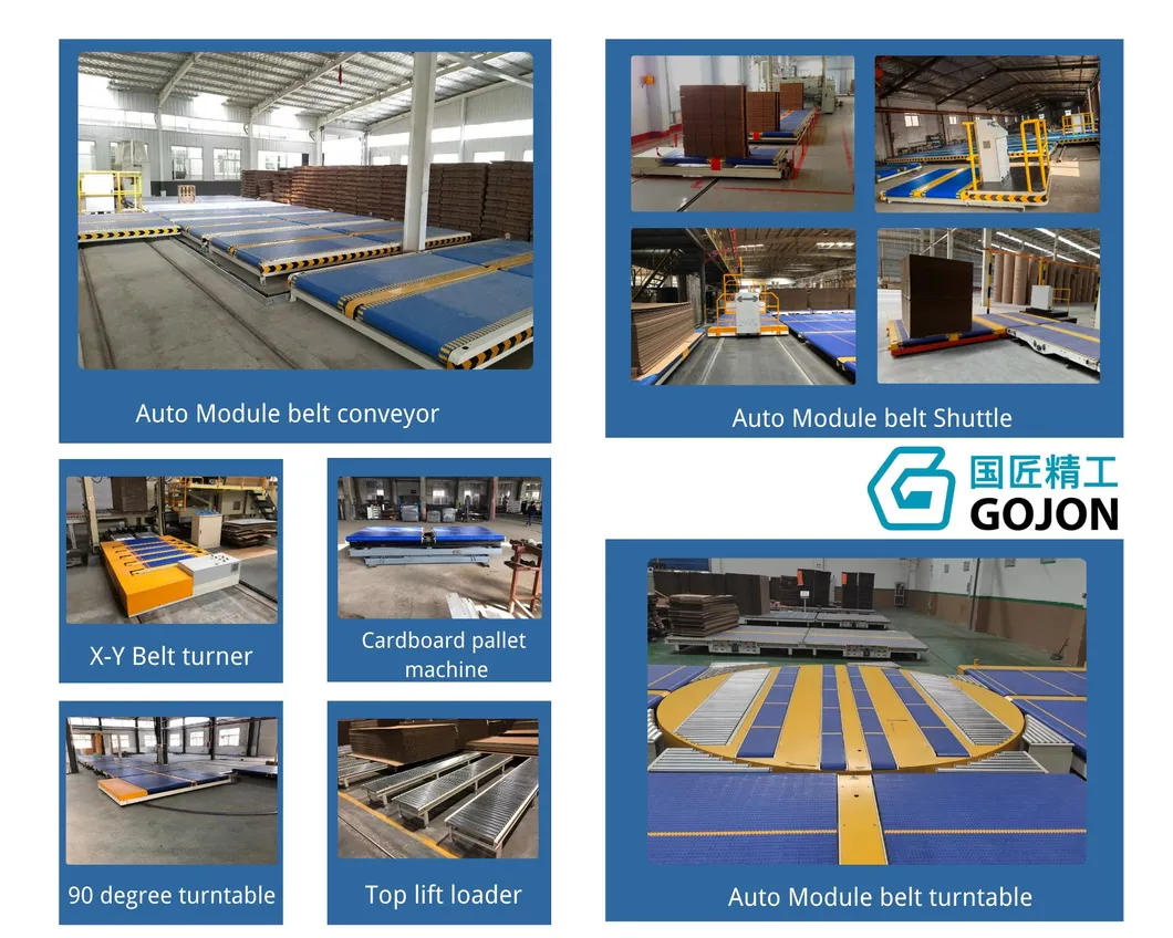 Module Belt Conveyor