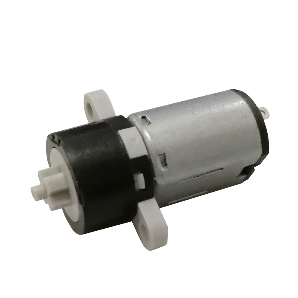 OEM Cheap Price Diameter 10mm Hot Sell  3.7v 65RPM Small Electric Dc Micro Gear Motors for Smart Fingerprint Lock DP10-M10
