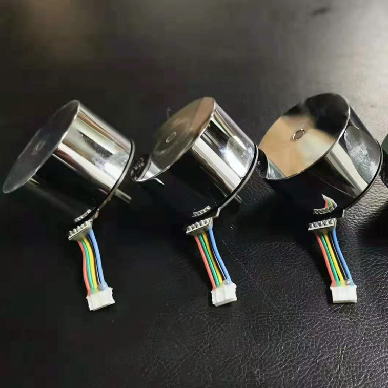 12V 18V 24V Outer Rotor Brushless Dc Motor for Massager