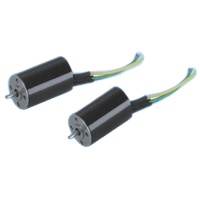 China Factory Customized Long Life Time 12mm Diameter High Speed 12/24V Dc Micro Coreless Motor