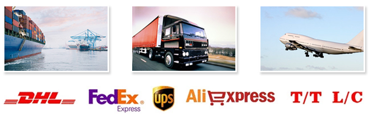 Shipping Logistics