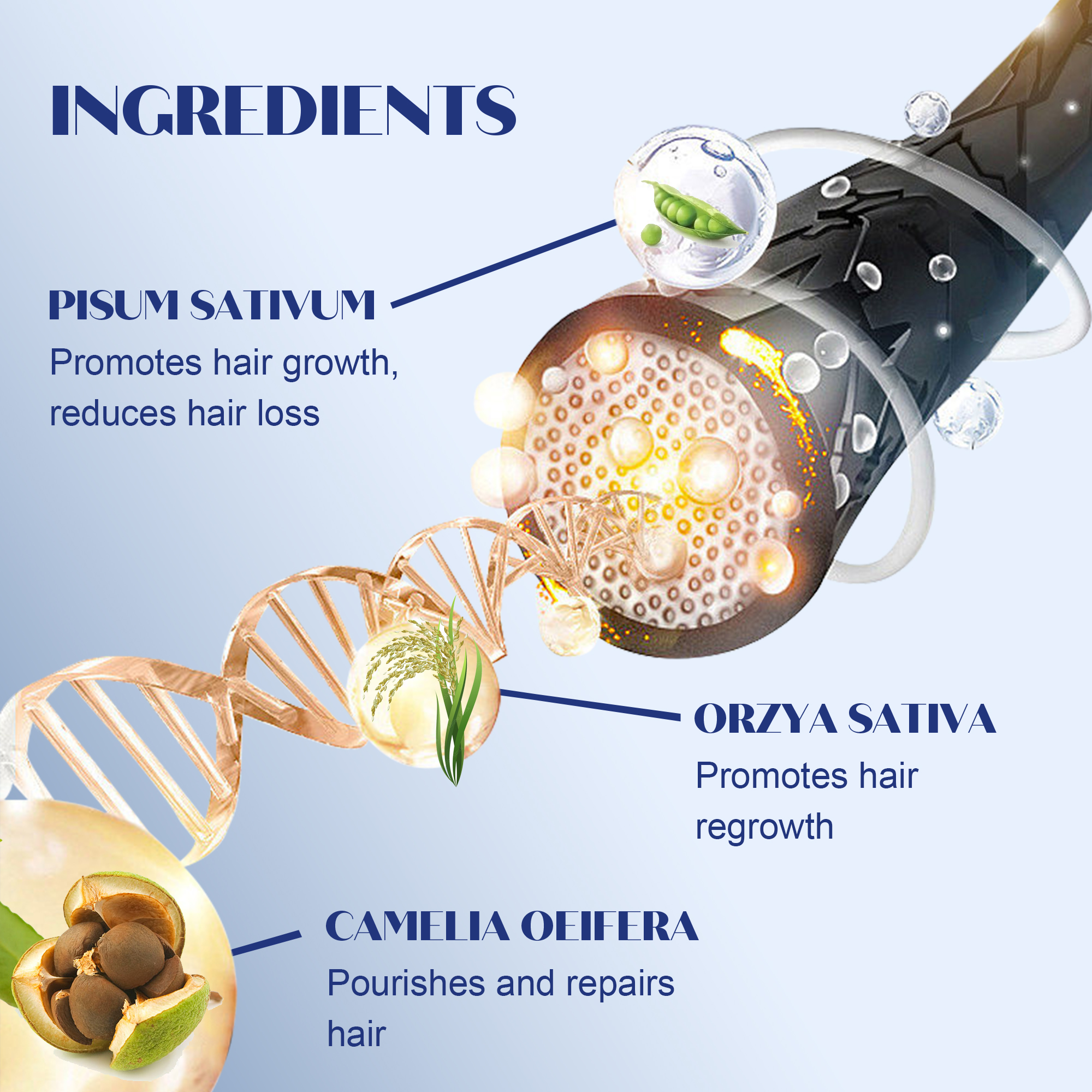 Organic Private Label 100% Natural Serum Scalp Care Spray Fast Hair Regrowth Hair Treatment FEG Hair Growth Spray