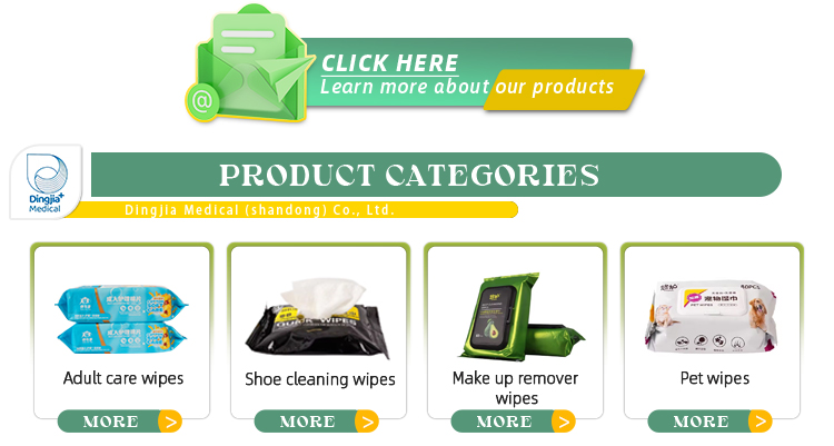 Adult and Shoe Wipes