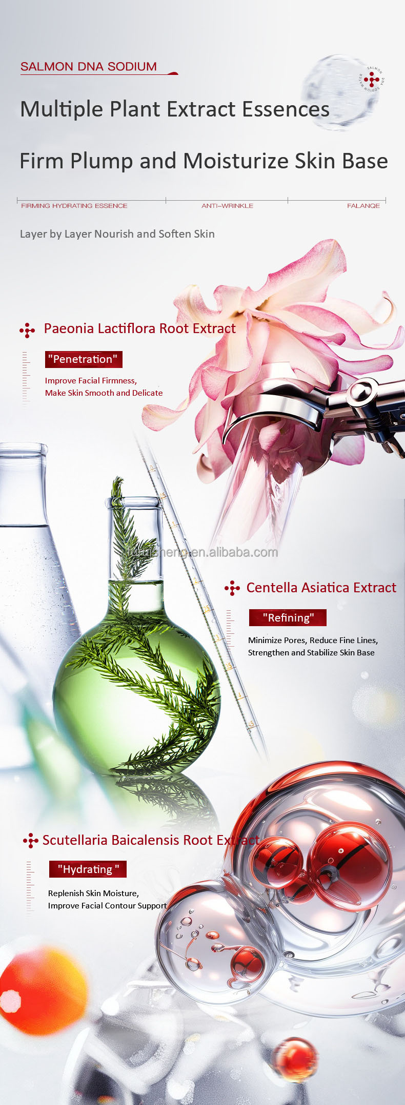 Showcase Image 8