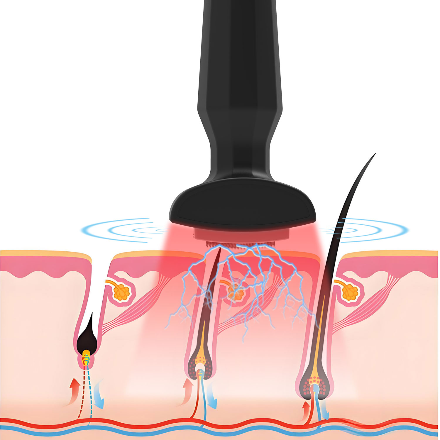 Microcurrent Hair Growth Comb Detail