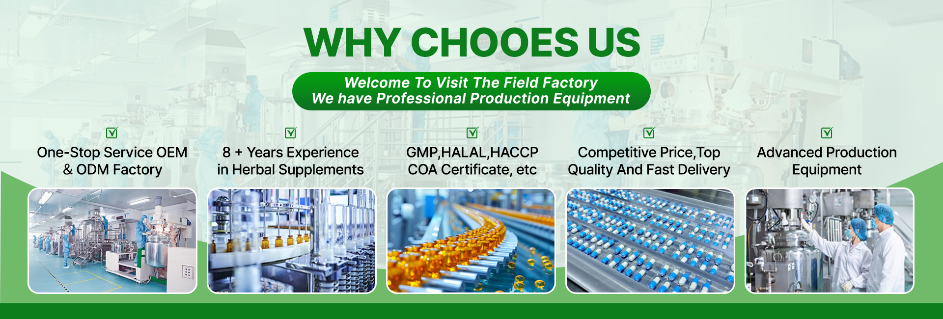 Why Choose Us