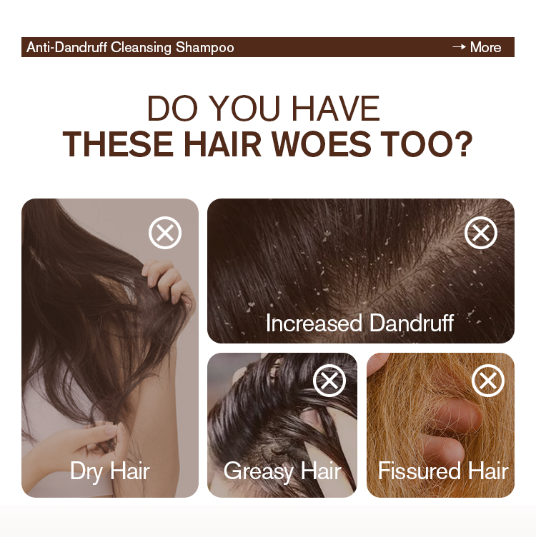 Product Feature 2