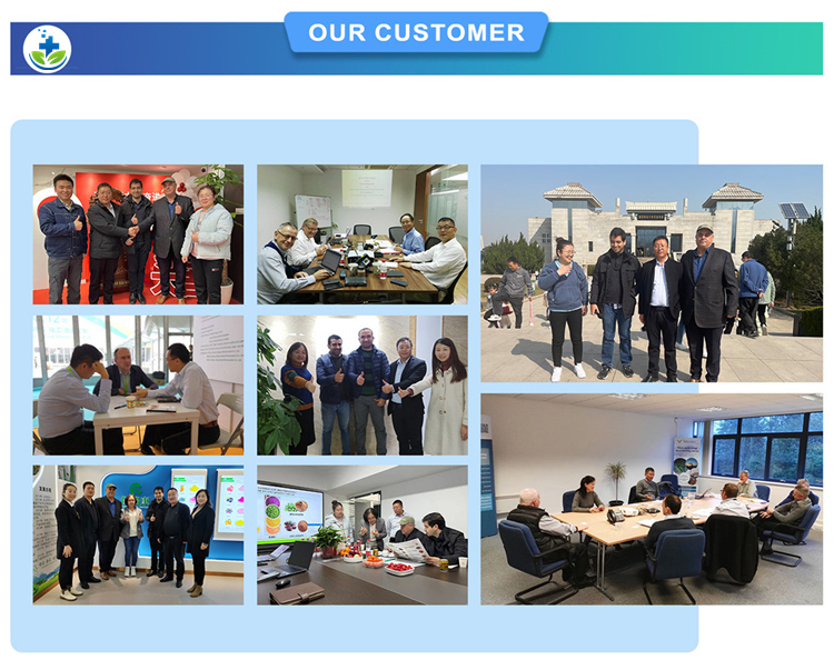 Factory Facility and Global Exhibitions