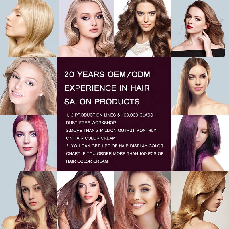 Amazing Hair Dye Cream Hairstyle Coloring Dyeing Silver Grey Icy Ashy Platinum Blonde Permanent Professional Salon Hair Color