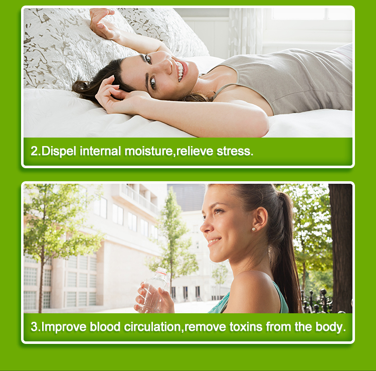 Natural Herbal Bamboo Vinegar Detox Foot Patches