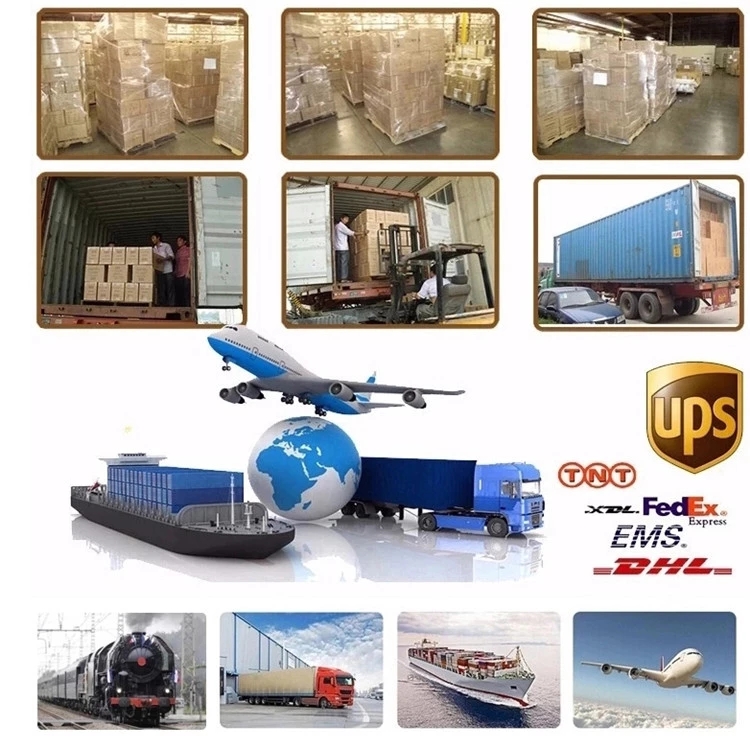 Packaging Area