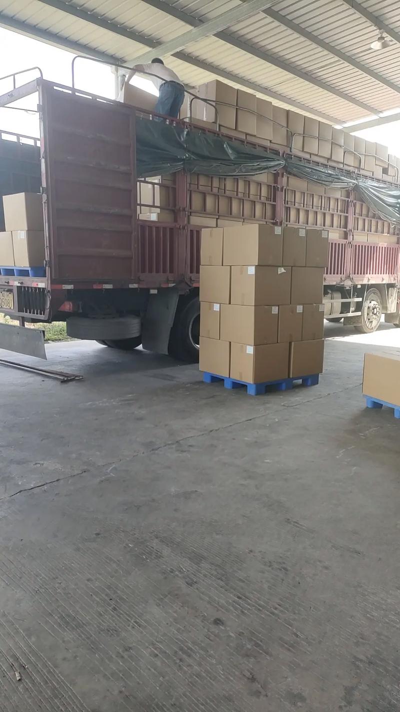 Shipping Logistics Detail 2