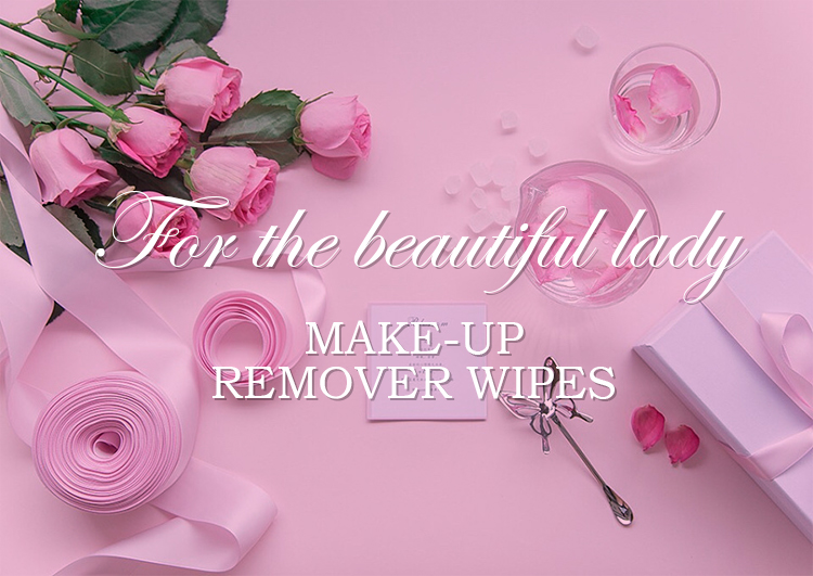 Makeup remover wipes presentation 1