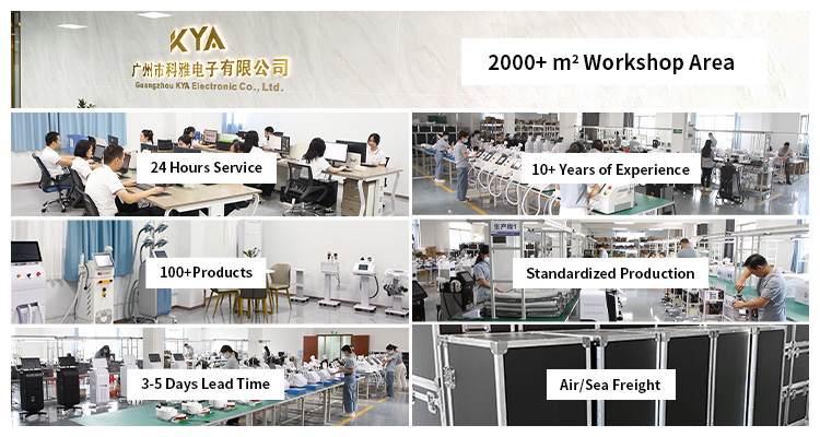 Product Showcase