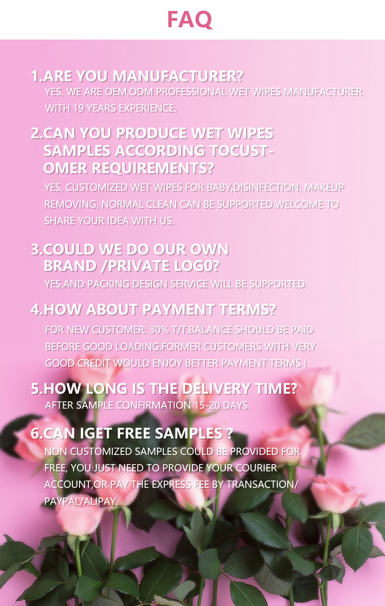 Makeup remover wipes presentation 9