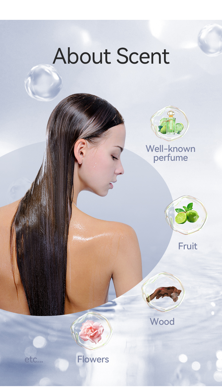 Product Description 5