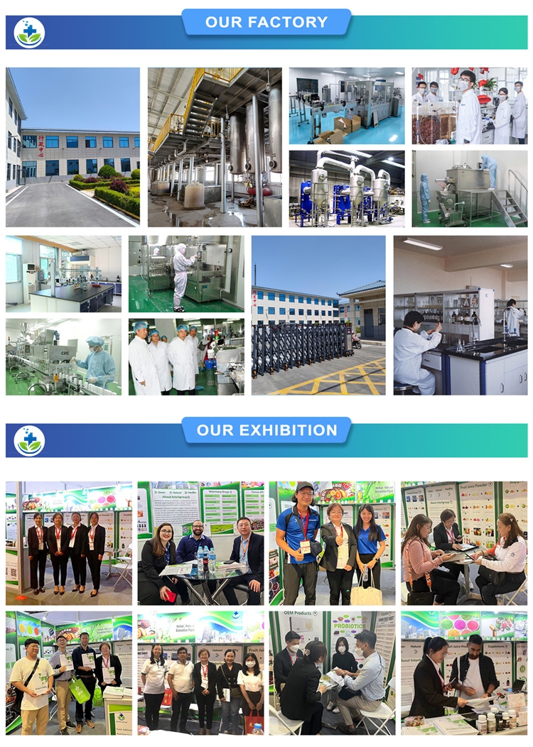 Our Services Banner