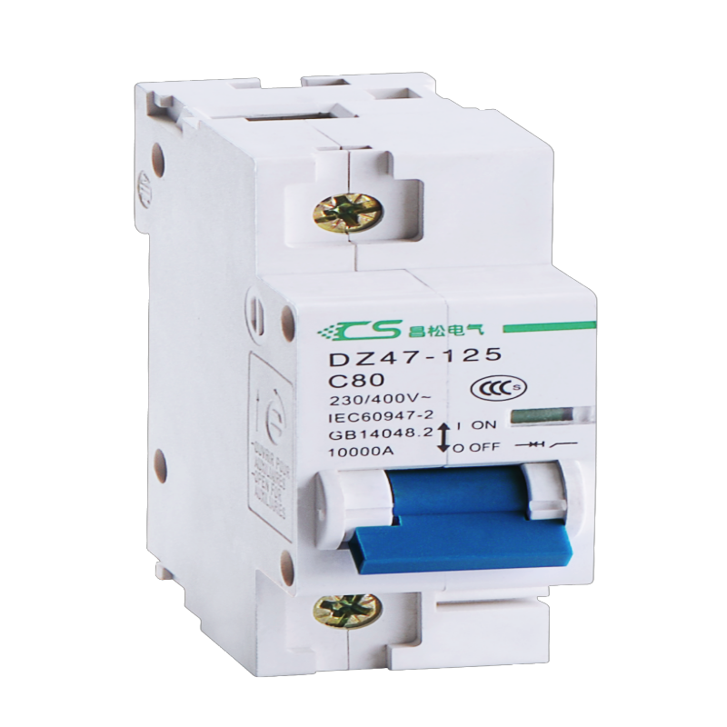 Special Solar Photovoltaic 1000V 1P 50A 63A 80A 100A 125A DC Circuit Breaker MCB High Voltage DC Protection