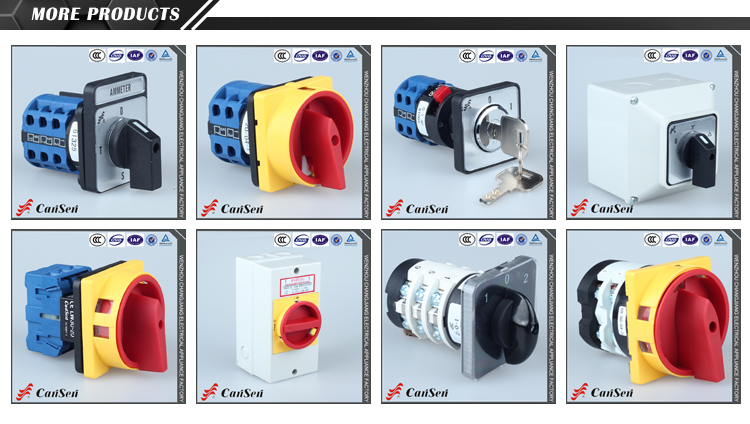 More Rotary Cam Switch Options