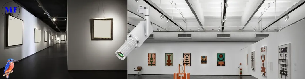 Art Gallery Lighting Application Scenario 2